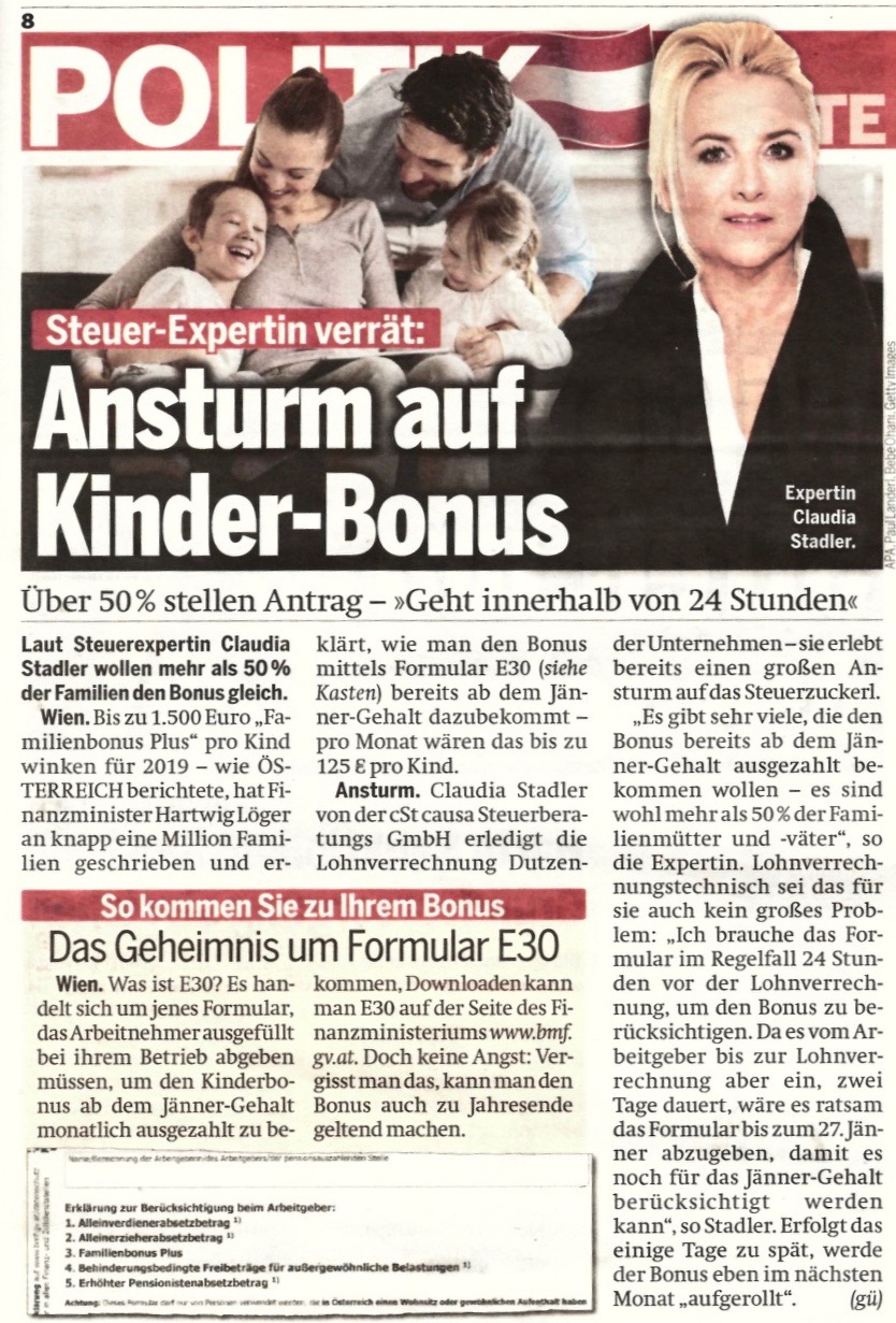 cSt causa in der Tageszeitung Österreich