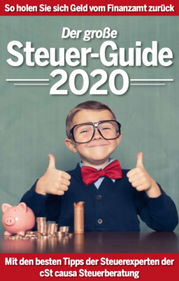 der große Steuer-Guide 2020